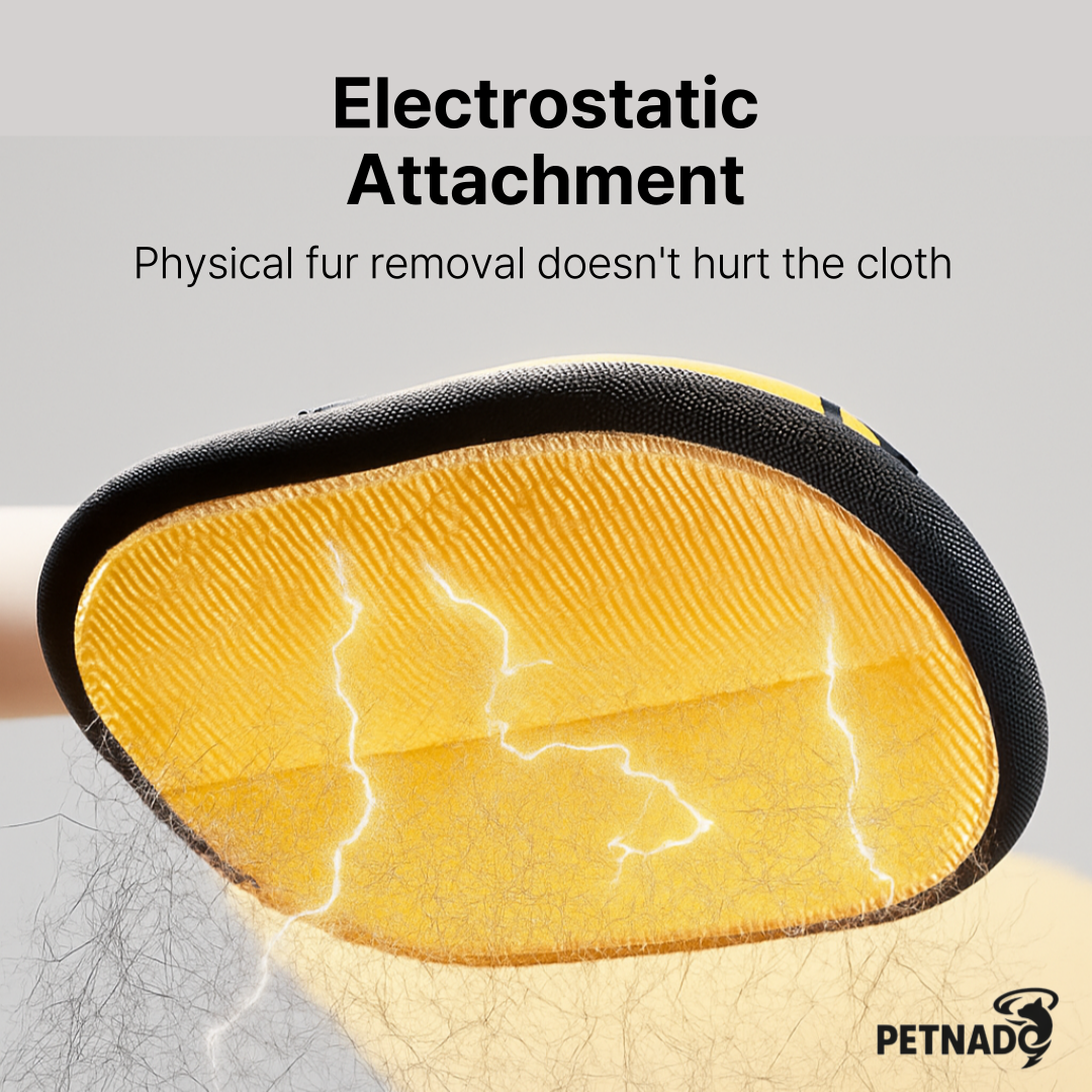 Pet Hair Removal Glove